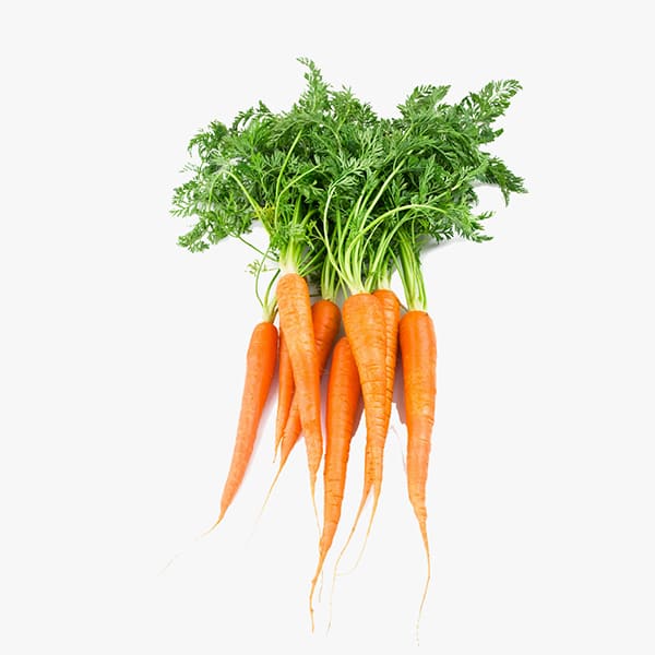 Premium quality agricultural products supplier with extensive experience in international trade and reliable delivery services.