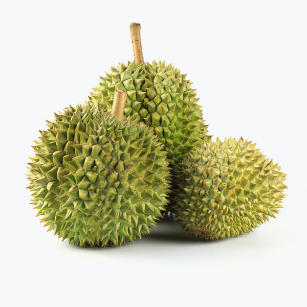 Premium quality organic agricultural products with international certifications.